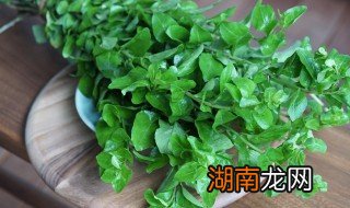 牛肉枸杞叶汤的做法 枸杞叶汤的做法