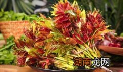 香椿鱼的做法 香椿鱼的做法大全家常