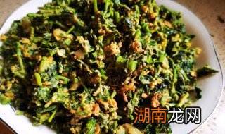 炒香椿的做法窍门 炒香椿的做法