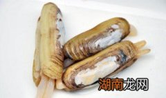 蛏子洗干净冷冻还是不洗冷冻好 蛏子怎么洗干净