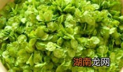 榆钱的常见做法推荐 榆钱的做法有哪些