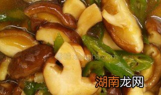 素炒香菇的做法 素炒香菇做法视频