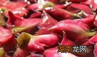 红菱是什么水果 红菱是水果吗