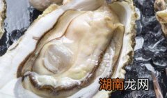 晒生蚝干的正确方法 晒生蚝干的正确方法窍门