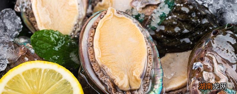 新鲜鲍鱼怎么保存时间长 新鲜鲍鱼怎么保存