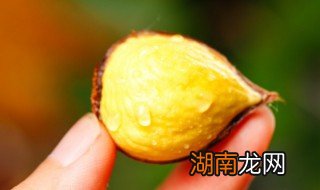 板栗怎样才能剥内层皮 板粟怎样剥皮