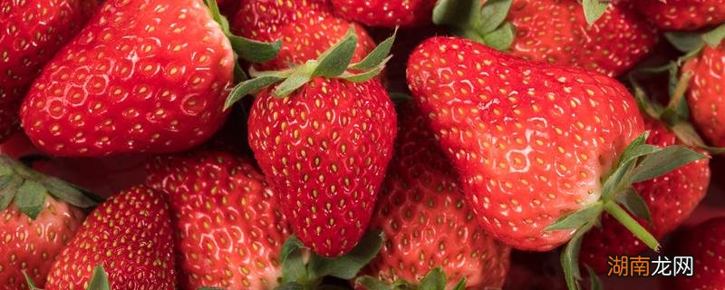 草莓吃多了会不会上火呀 草莓吃多了会不会上火