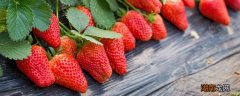 草莓的功效与营养 孕妇吃草莓的功效与营养