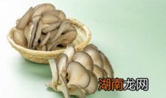 烧蘑菇的家常做法 烧蘑菇的家常做法视频