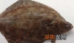 板鱼是什么鱼 如东 板鱼是什么鱼