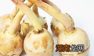 慈姑烧肉家常做法 慈姑的做法