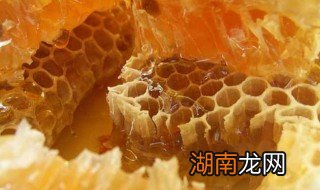 蜂胶是什么样子的图片 蜂胶是什么