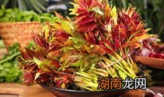 油辣香椿的做法窍门 油辣香椿的做法和配方