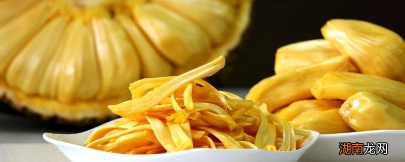 菠萝蜜是什么 菠萝蜜是什么季节的水果