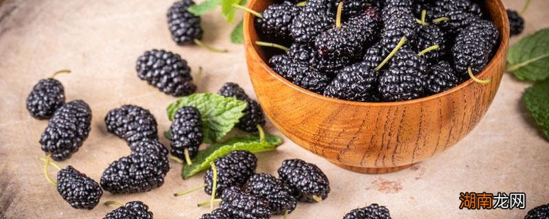桑椹干泡水能美白吗 桑葚干泡水喝能美白吗