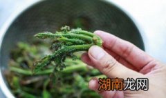 如何腌制香椿芽咸菜 如何腌制香椿芽