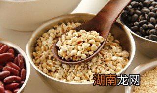 哪些食物去湿气比较好 哪些食物去湿气比较好的
