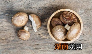 香菇炒肉丝的家常做法窍门图片 香菇炒肉丝的家常做法