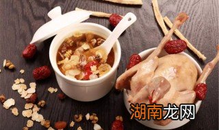 清炖鸽子的做法大全家常 清炖鸽子的做法