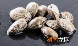 花甲粉丝煲的做法家庭 花甲粉丝煲的做法