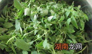 凉拌荆芥黄瓜变蛋的做法窍门 荆芥拌变蛋的做法