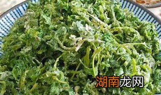 蒸茵陈的做法大全 炝拌蒸茵陈的做法