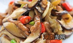 香菇和什么一起炒好吃有营养 百度网盘 香菇和什么一起炒好吃