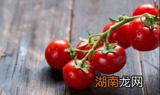 吃西红柿能减肥吗什么时候吃最好 吃西红柿能减肥吗