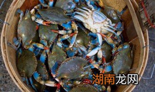 大闸蟹买回来放冷冻还是冷藏好 大闸蟹买回来是放在冷冻还是保鲜