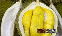 榴莲核的功效与作用禁忌症 榴莲核的功效与作用