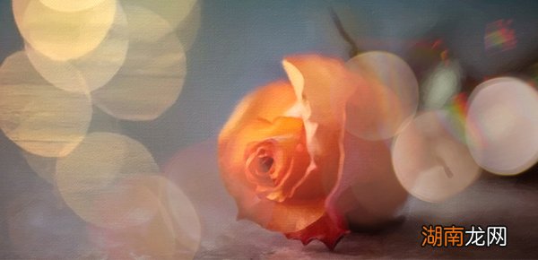 python中format用法?