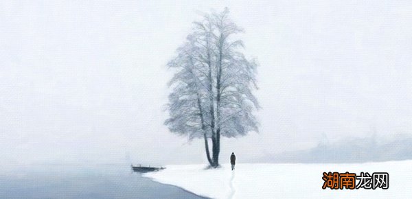 ppt里面的绘图工具在哪里找?