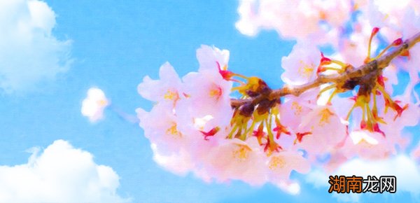 微单相机哪家好