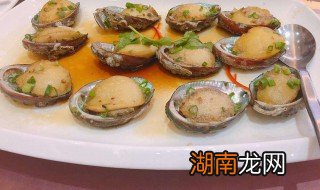 八头鲍怎么做 八头鲍怎么做好吃