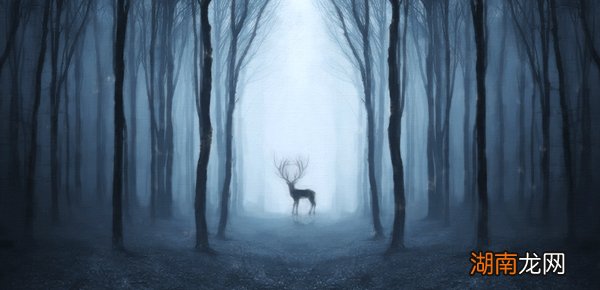 requests模块无法安装？