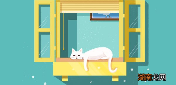 墨刀如何使用？