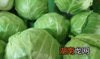 包心菜怎么炒的 包心菜怎么炒的好吃