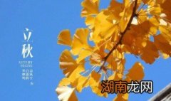 立秋适合吃什么 立秋适合吃什么菜