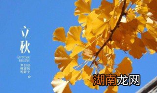 立秋适合吃什么 立秋适合吃什么菜