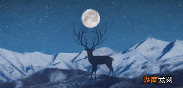 哪款微单相机比较好