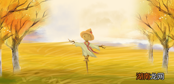 ai描边工具怎么调出来？