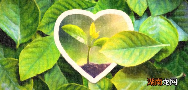 python如何使用len函数?