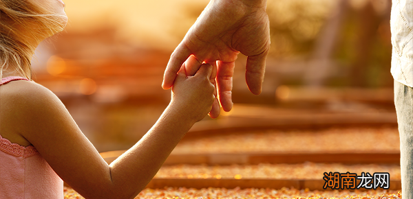 网上下载的pr模板怎么用