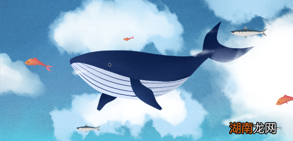 python字符串拆分?