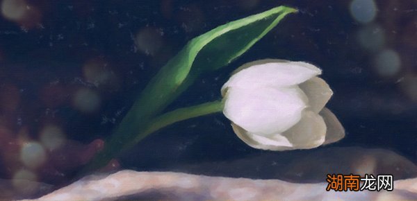 详解Django通用视图中的函数包装