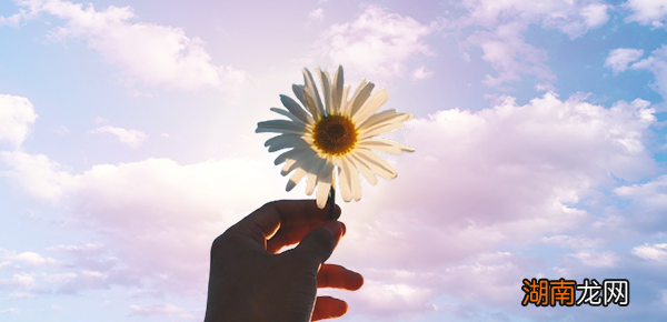 mysql初始密码怎么找?