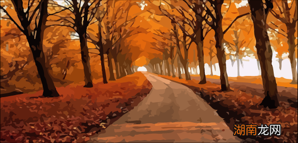 使用pycharm控制台?