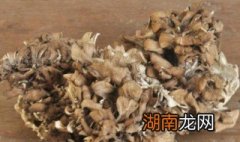 灰树花怎么吃法 灰树花怎么吃