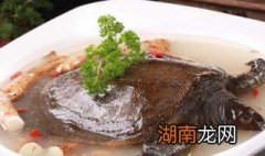 甲鱼怎么吃有营养价值高 甲鱼怎么吃