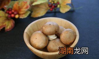 蘑菇一定要焯水几分钟 蘑菇需要焯水几分钟